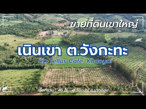 วิดีโอ YouTube พาชม วังกะทะ 46 ไร่ วิวเขาใหญ่ บนเนินสูง